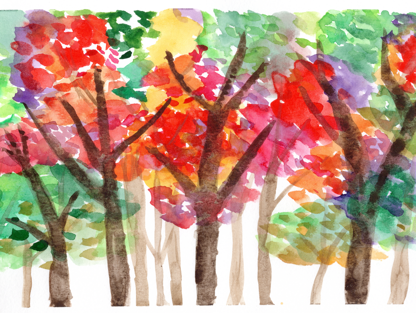 Fall Trees