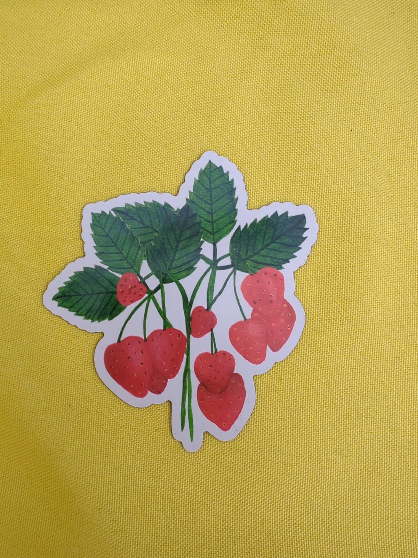Strawberry Magnet
