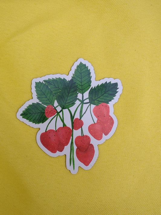 Strawberry Magnet